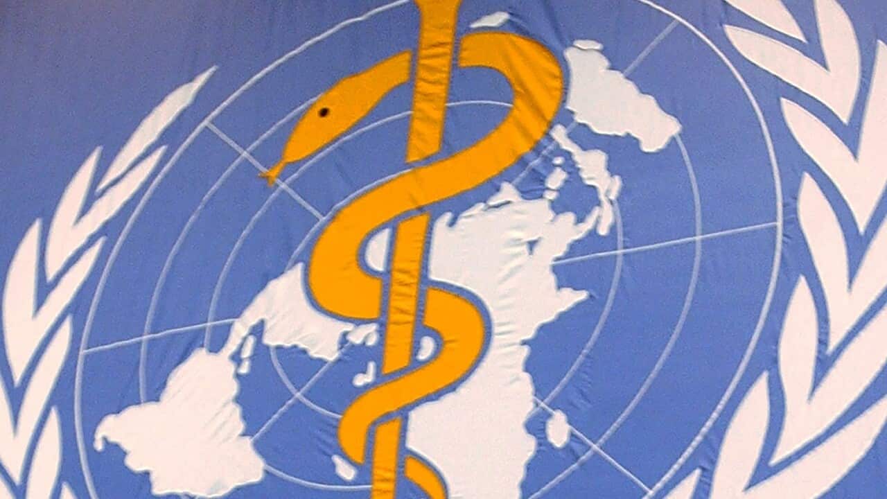 WHO logo at the United Nations in Geneva, Switzerland