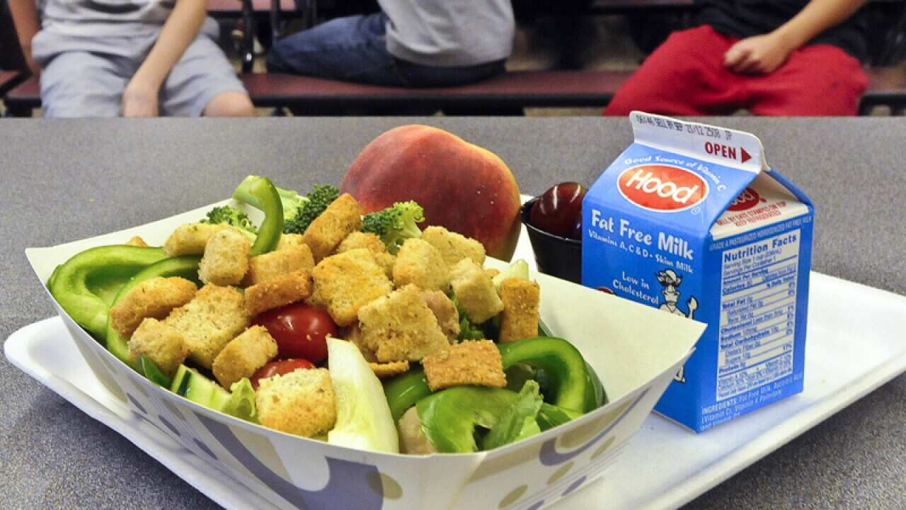 A chicken salad school lunch