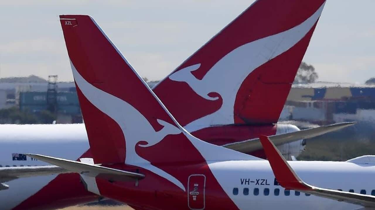 Qantas aircraft tails are seen on a taxi way at Sydney Airport.