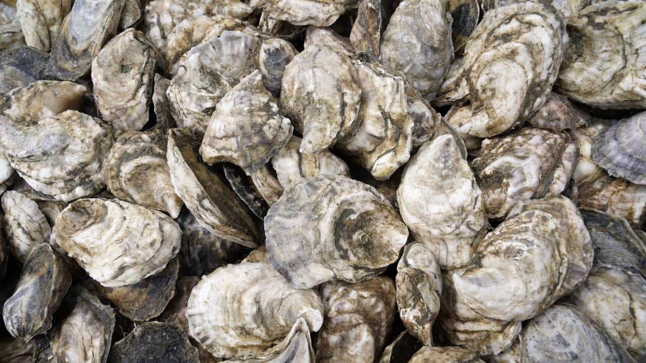 生蠔