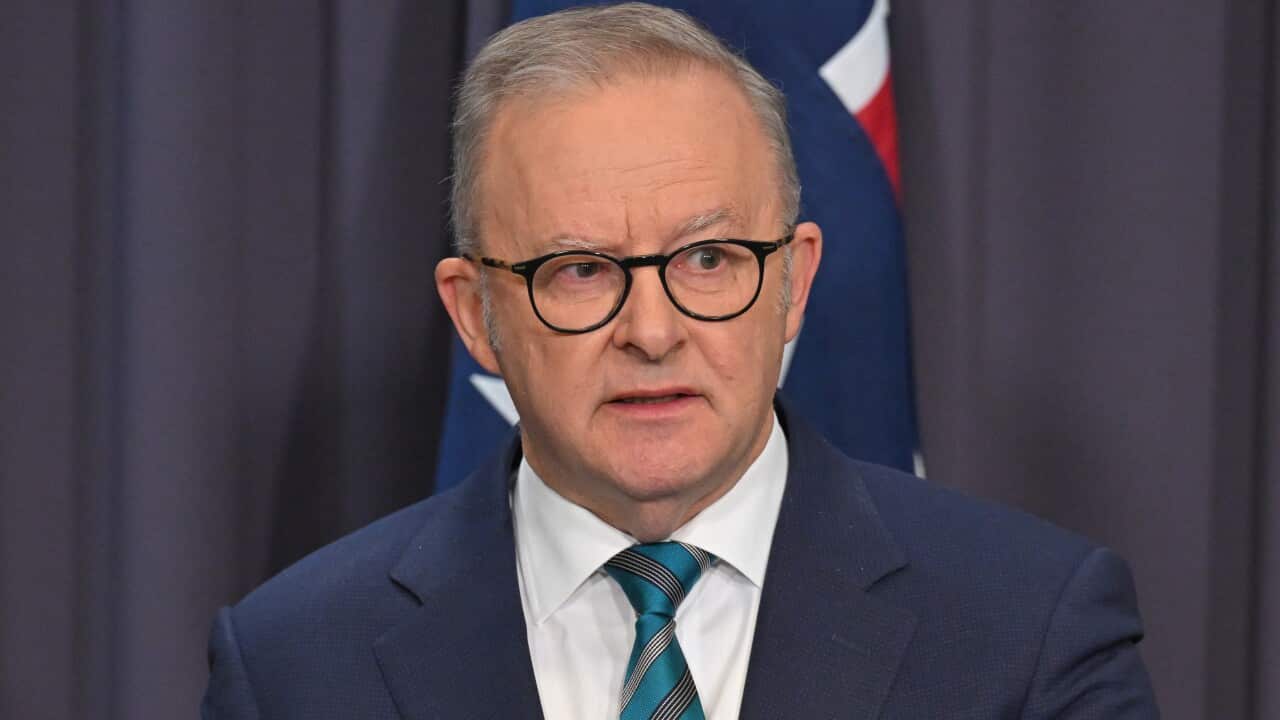 ANTHONY ALBANESE FUEL PRESSER