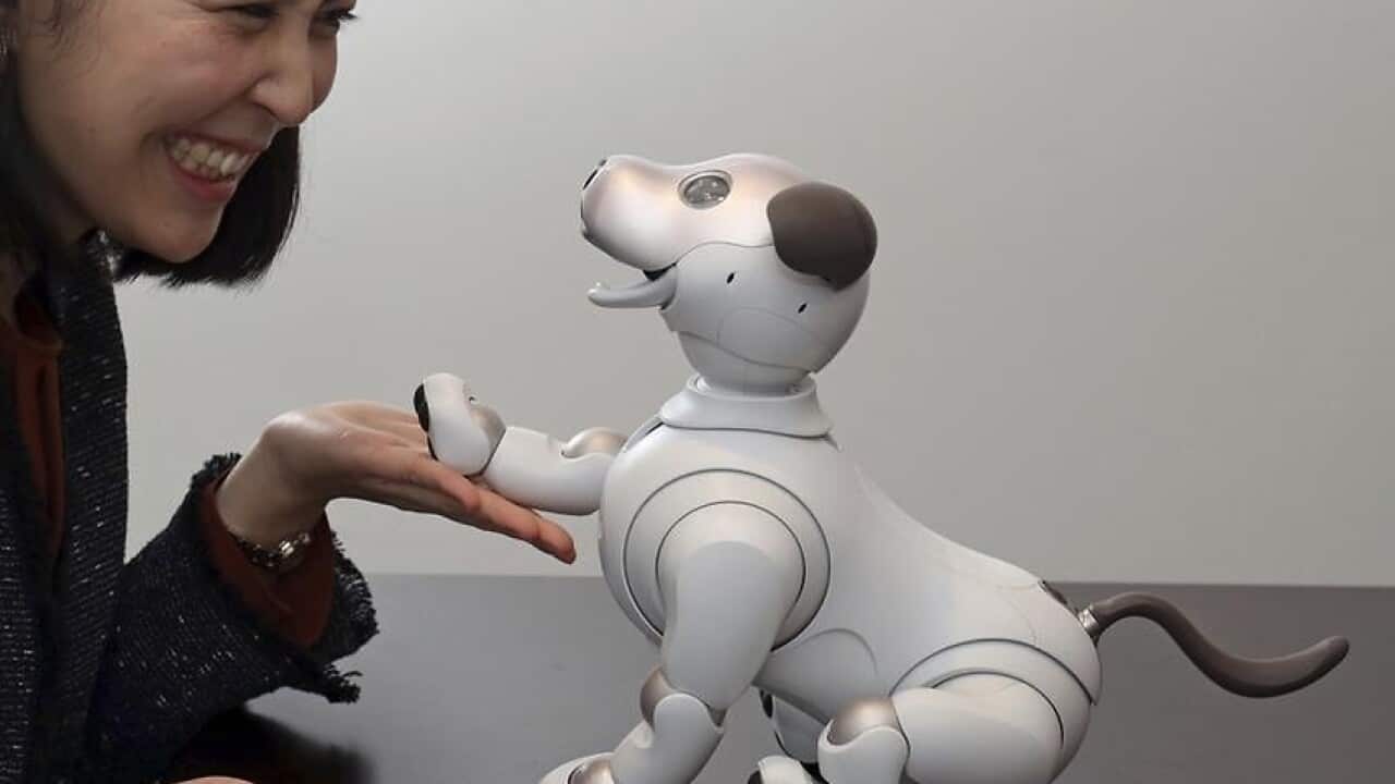 Robot