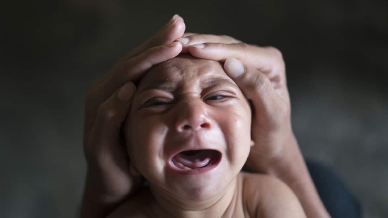 Baby Jose Wesley, in Bonito, Pernambuco state, Brazil