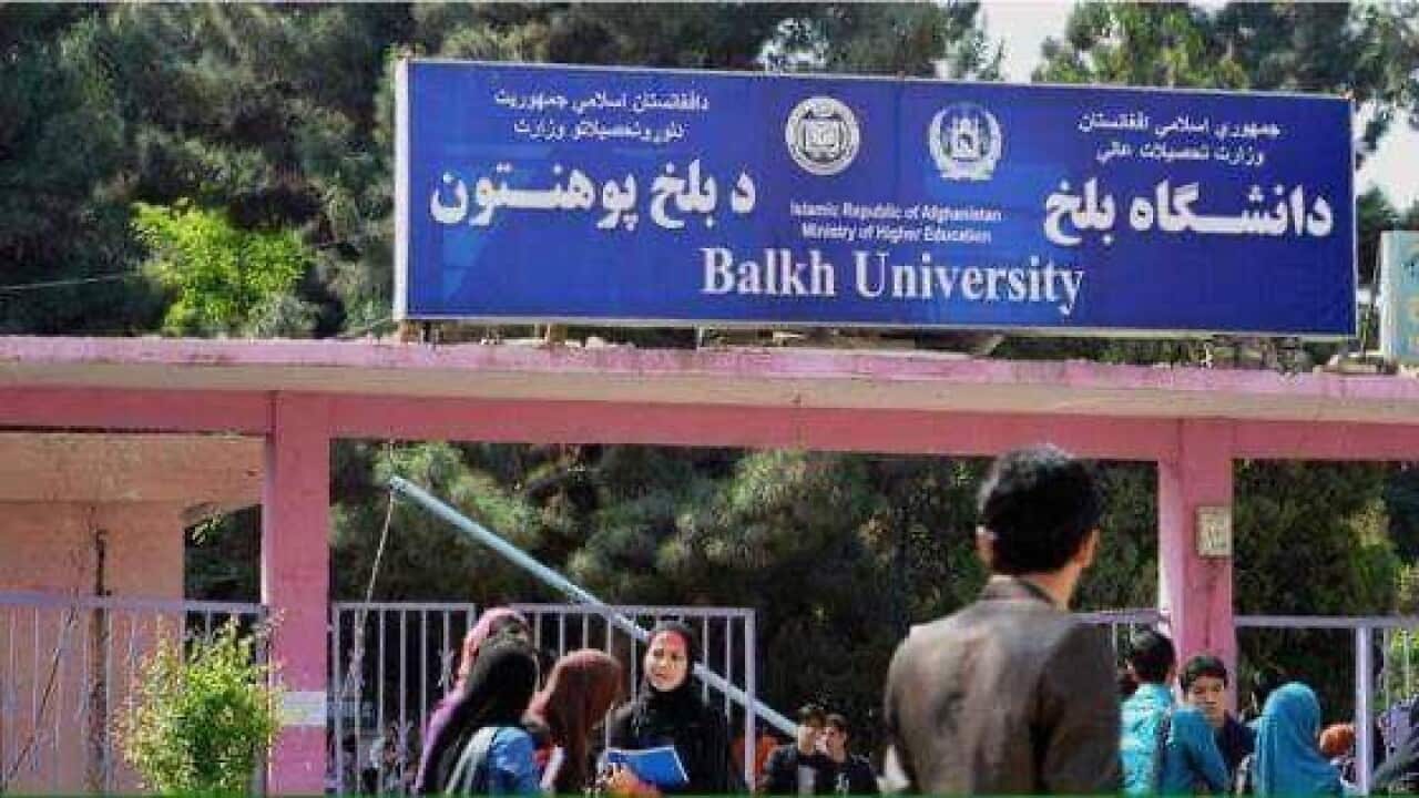Balkh university