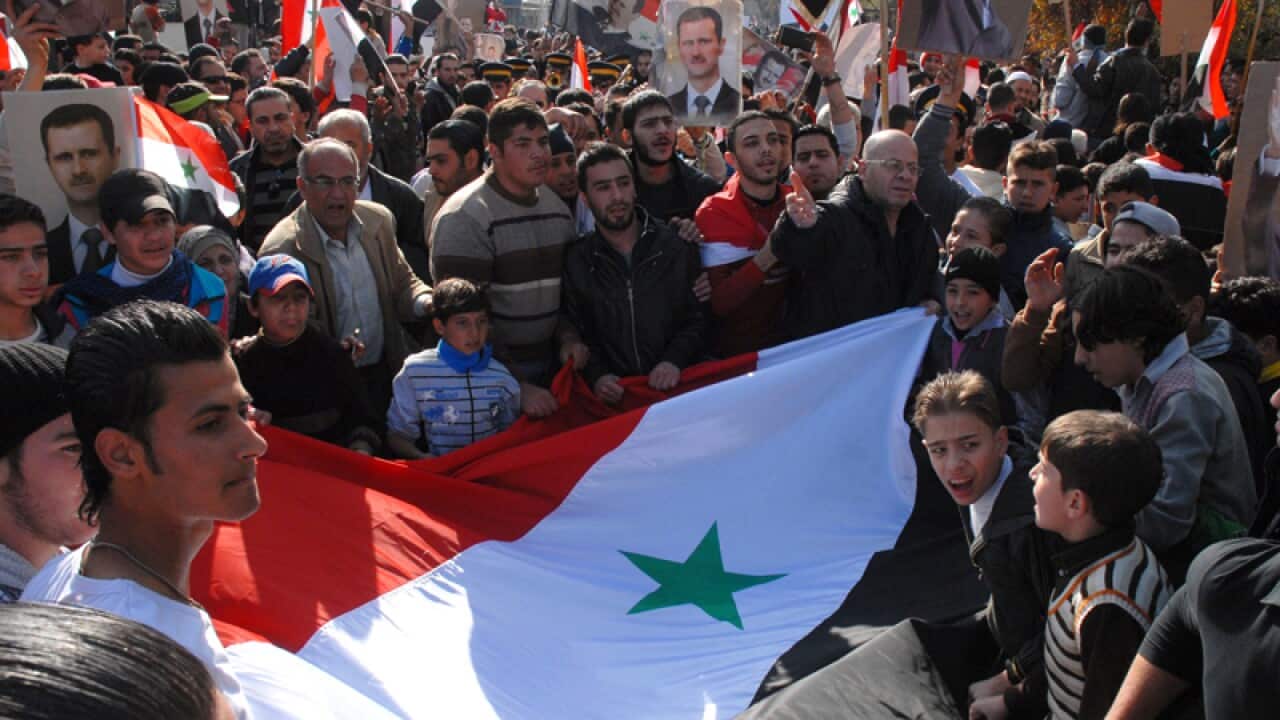 Pro-government protesters carry a Syrian flag