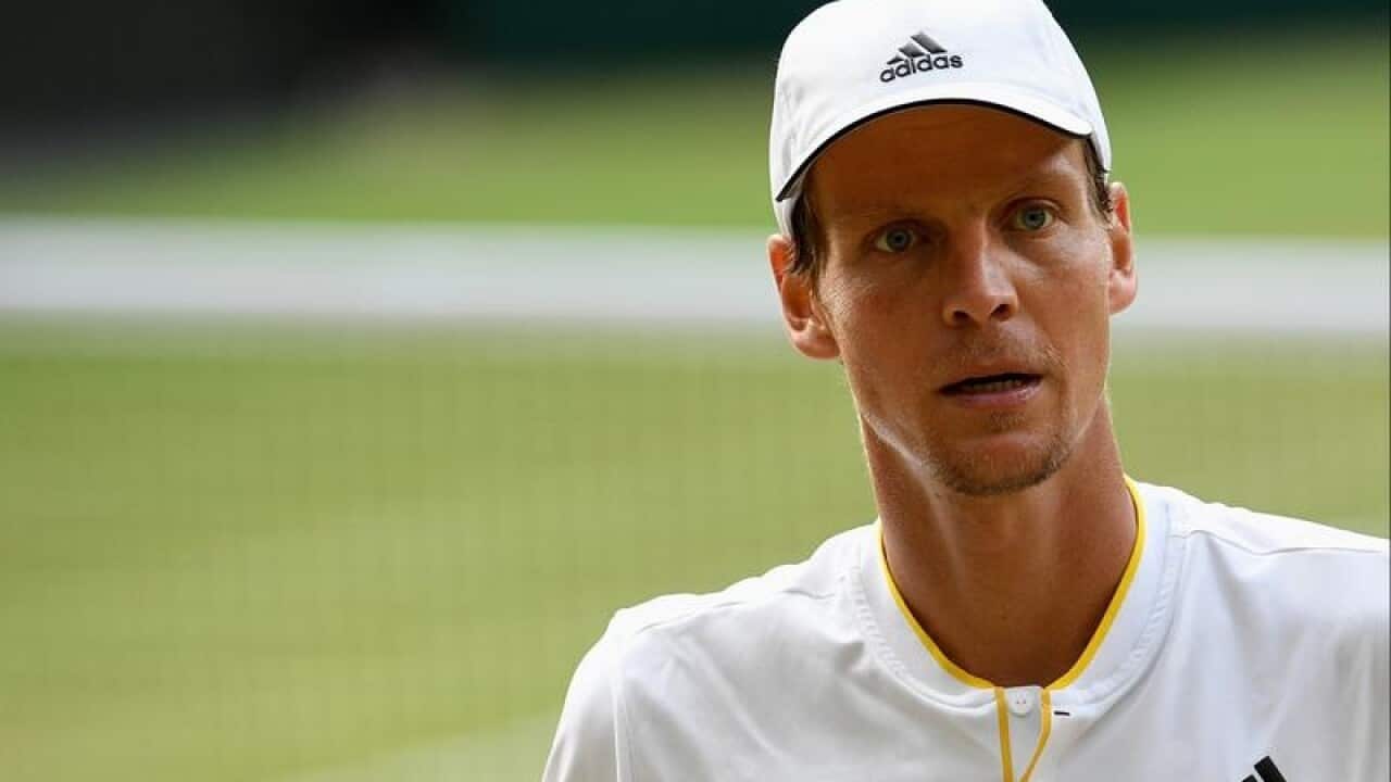 Tomas Berdych