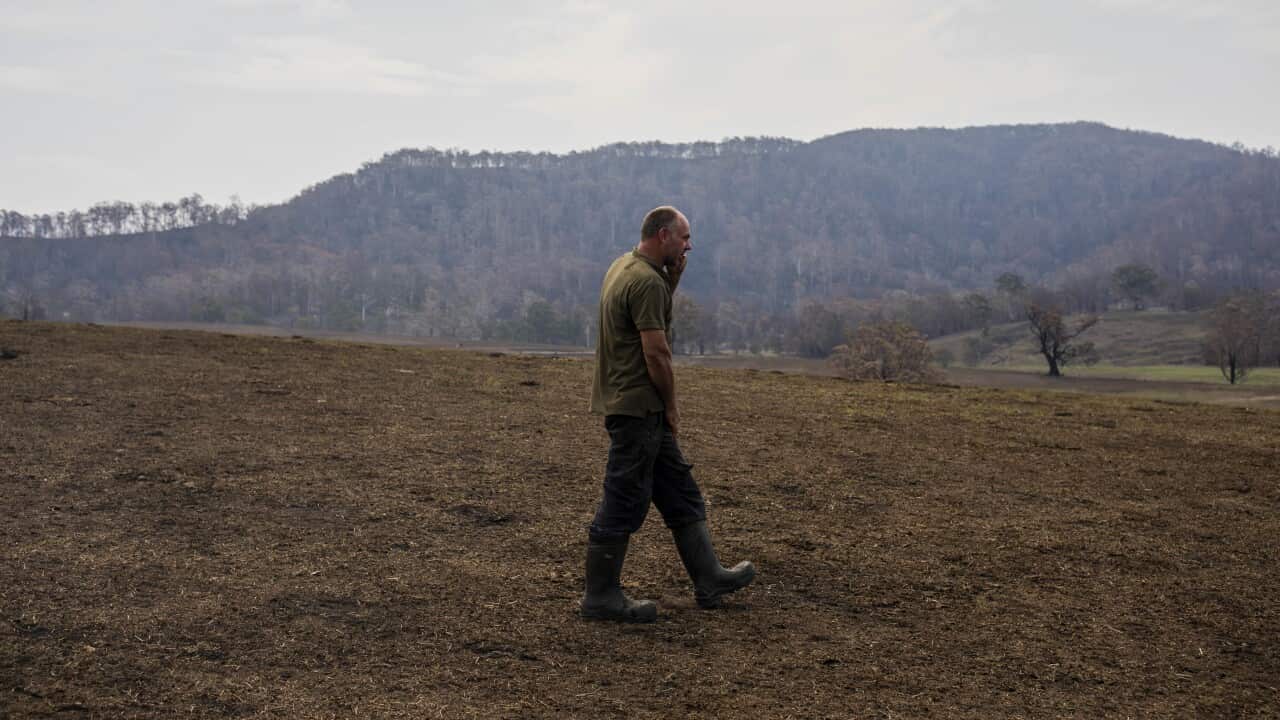 Farmer Farren Terlich is seen on his burnt-out property in Verona, NSW.