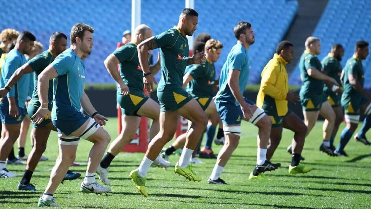 Wallabies players warm up at ANZ Stadium