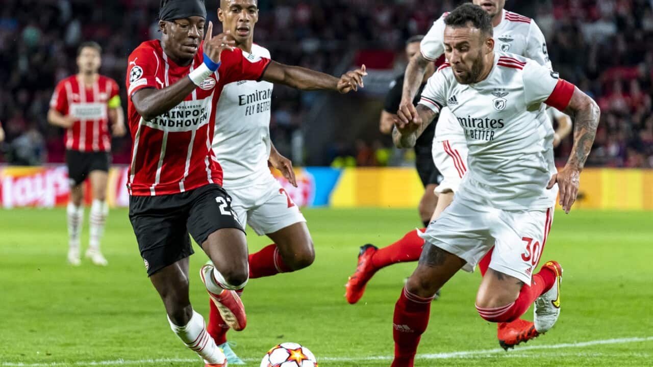 Image for read more article ''