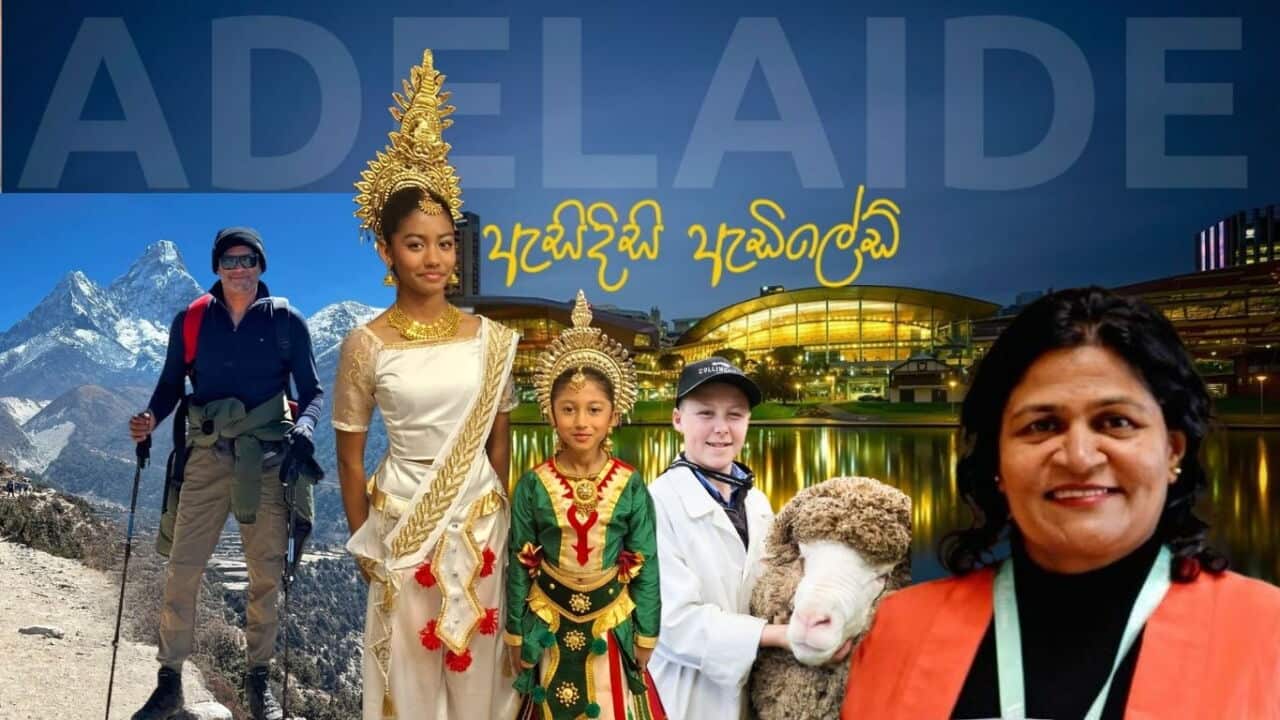 SBS Sinhala Asidisi Adelaide September cover Kumudini Silva Sarath Senadheera Buddhima Nethmi Polwatta Royal Adelaide Show.jpg