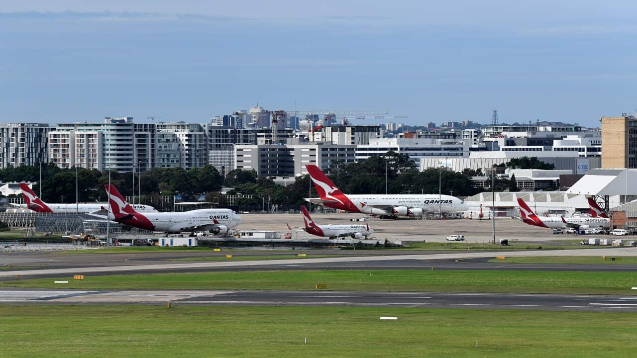 Planes are parked at Sydney International Airport.