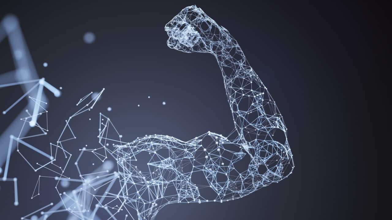 Muscle network landscape blue