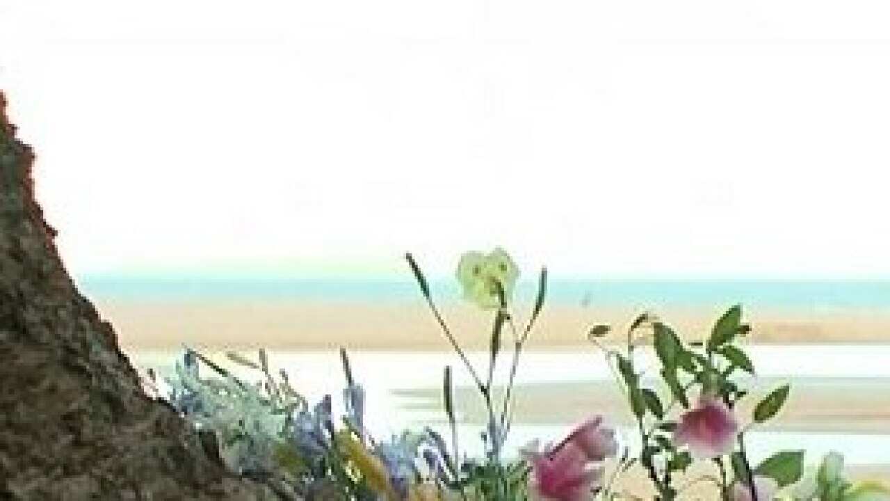 A fourth man has drowned at Moonee Beach.