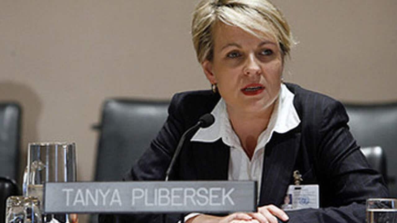 100404_B_plibersek_immigration_1726568566