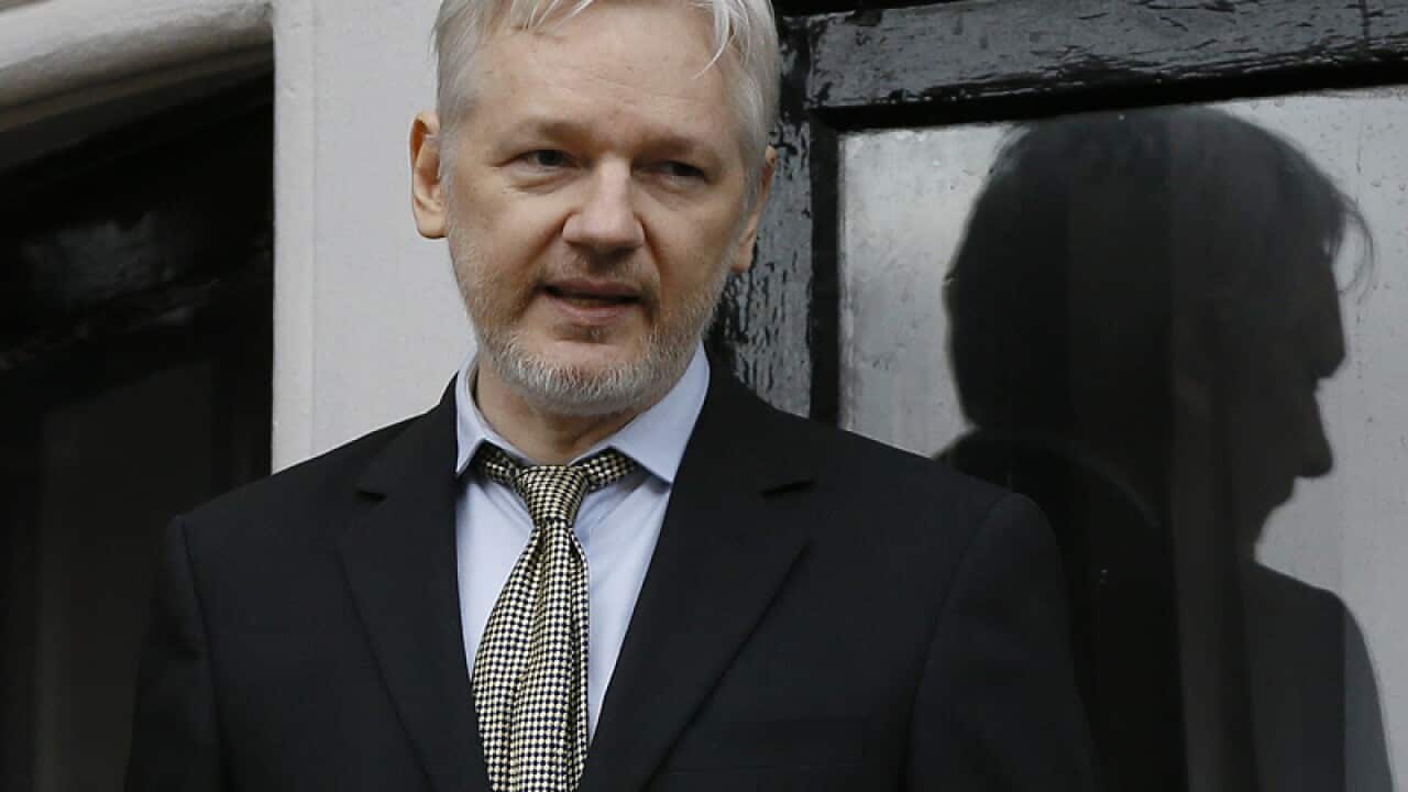 WikiLeaks founder Julian Assange