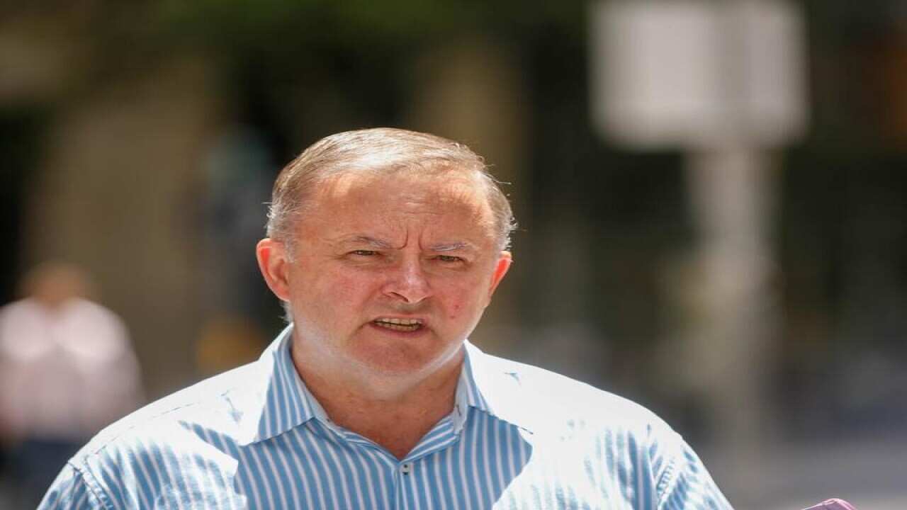 Anthony Albanese MP addresses the media in Sydney.
