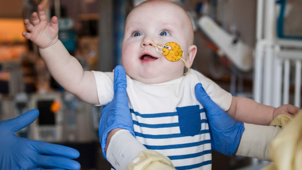 Image for read more article ''