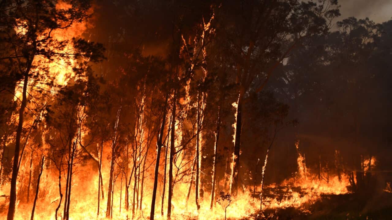 NSW RFS firefighters fight a fire during a backburn operation
