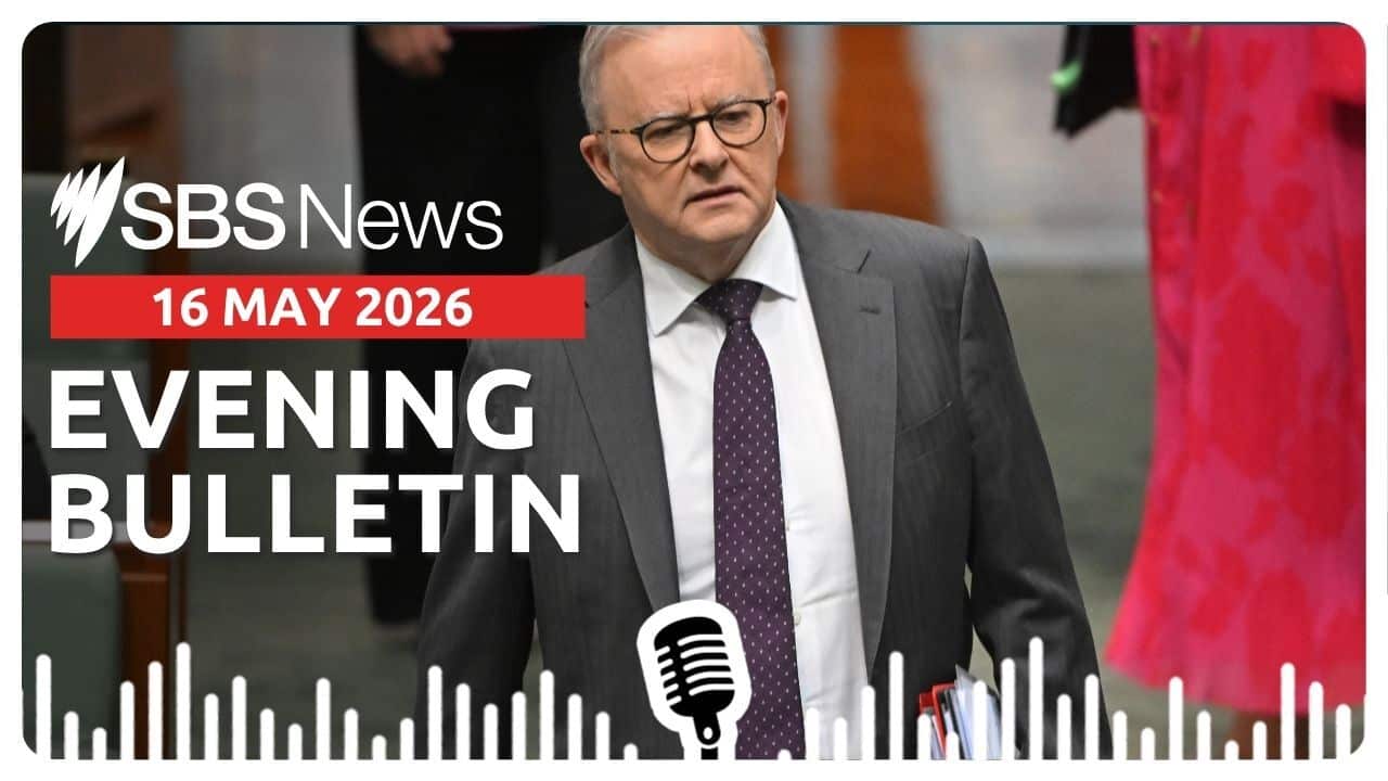 Evening News Bulletin 16 May 2026 (AAP).jpg