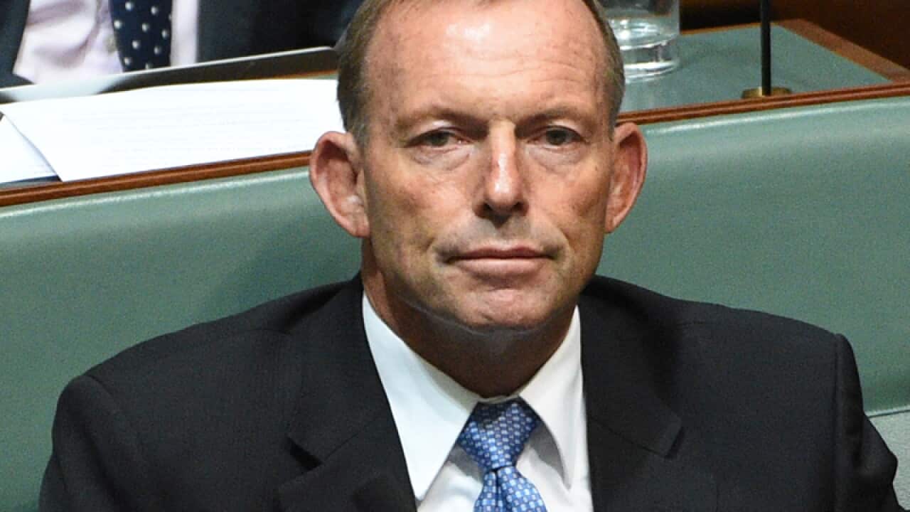 Former prime minister Tony Abbott