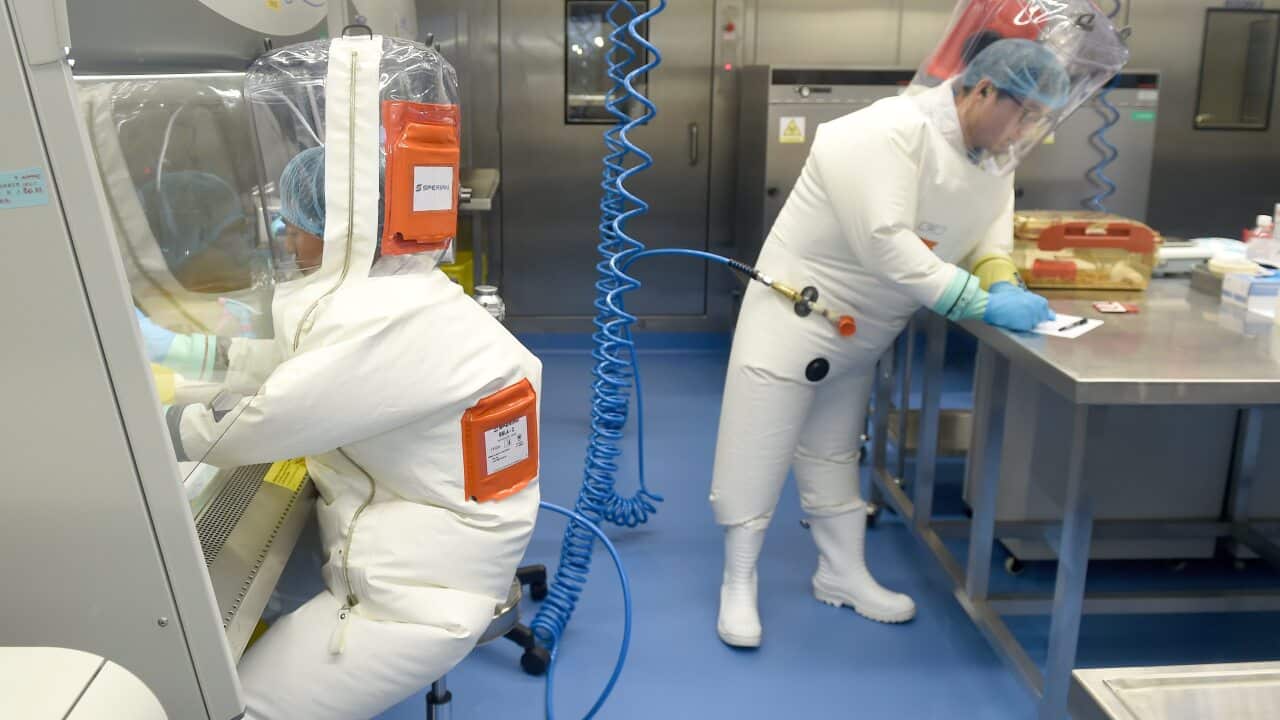 Researchers work in a lab of the Wuhan Institute of Virology (WIV) in Wuhan, Hubei province, China, 23 February 2017.