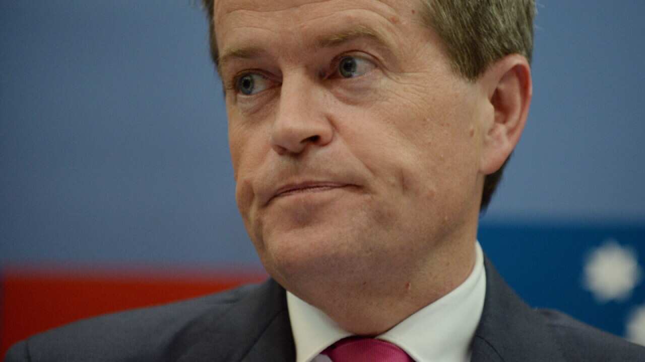 Leader of the Labor party Bill Shorten