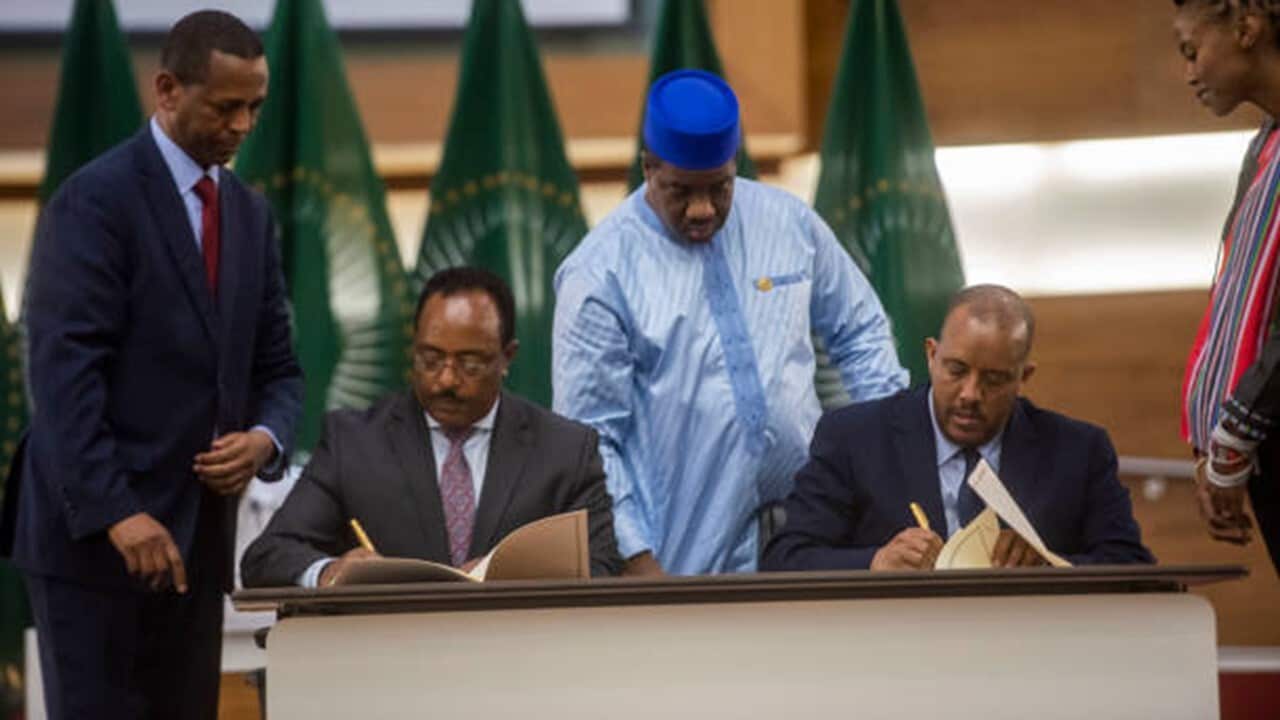 Peace talks South Africa.jpg