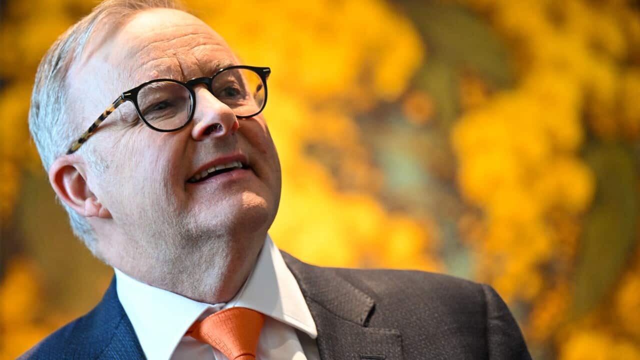 ANTHONY ALBANESE TAFE STUDENTS MEETING