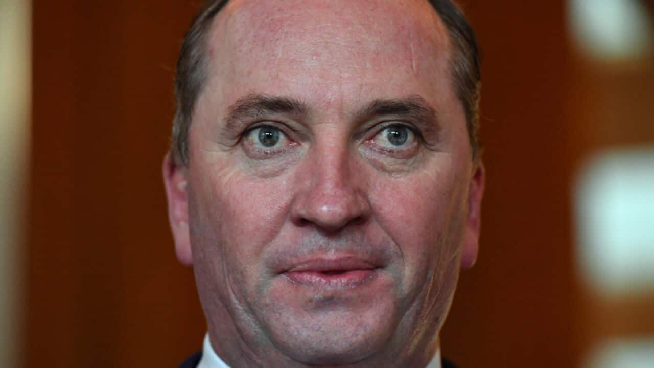 Deputy Prime Minister Barnaby Joyce