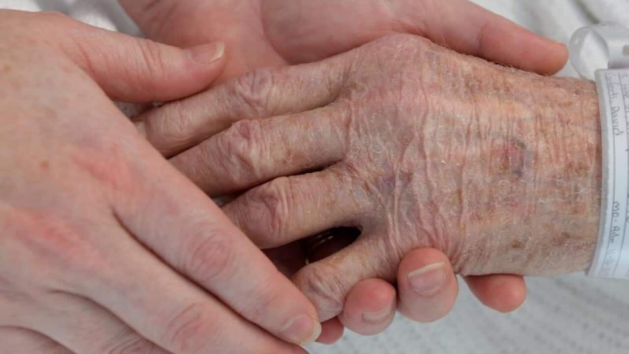 A nurse holds the hand of an elderly patient in a hospital