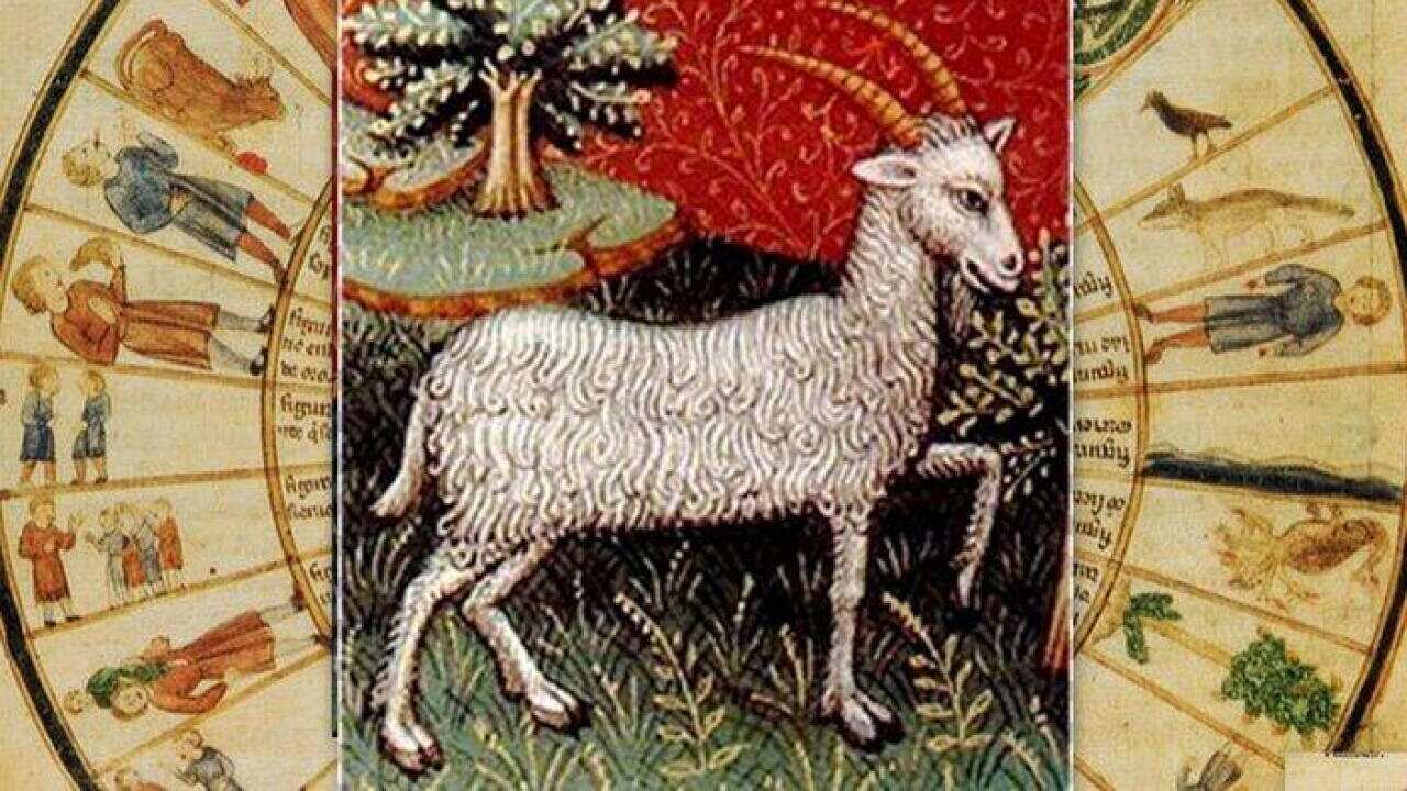 Capricorn