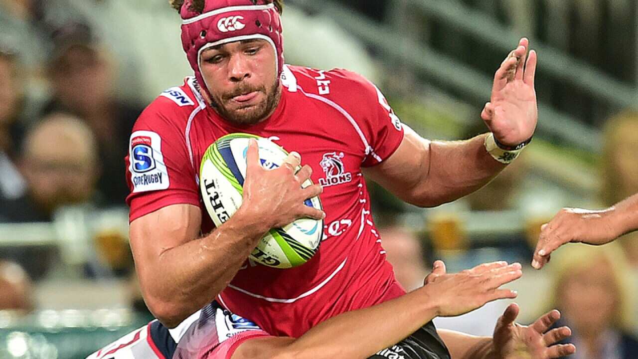 Lions captain Warren Whiteley
