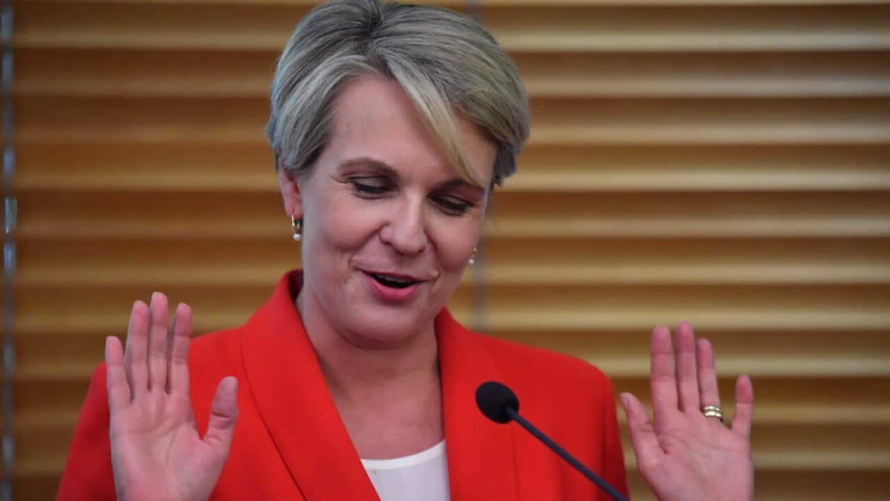 Deputy Leader of the Opposition Tanya Plibersek speaking at Labor's Women's Budget Statement event at Parliament House in Canberra, Thursday, April 4, 2019. (AAP Image/Mick Tsikas) NO ARCHIVING