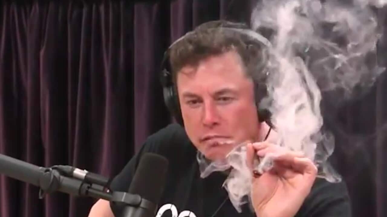 Tesla shares fall after Elon Musk smokes weed, drinks whisky during  interview