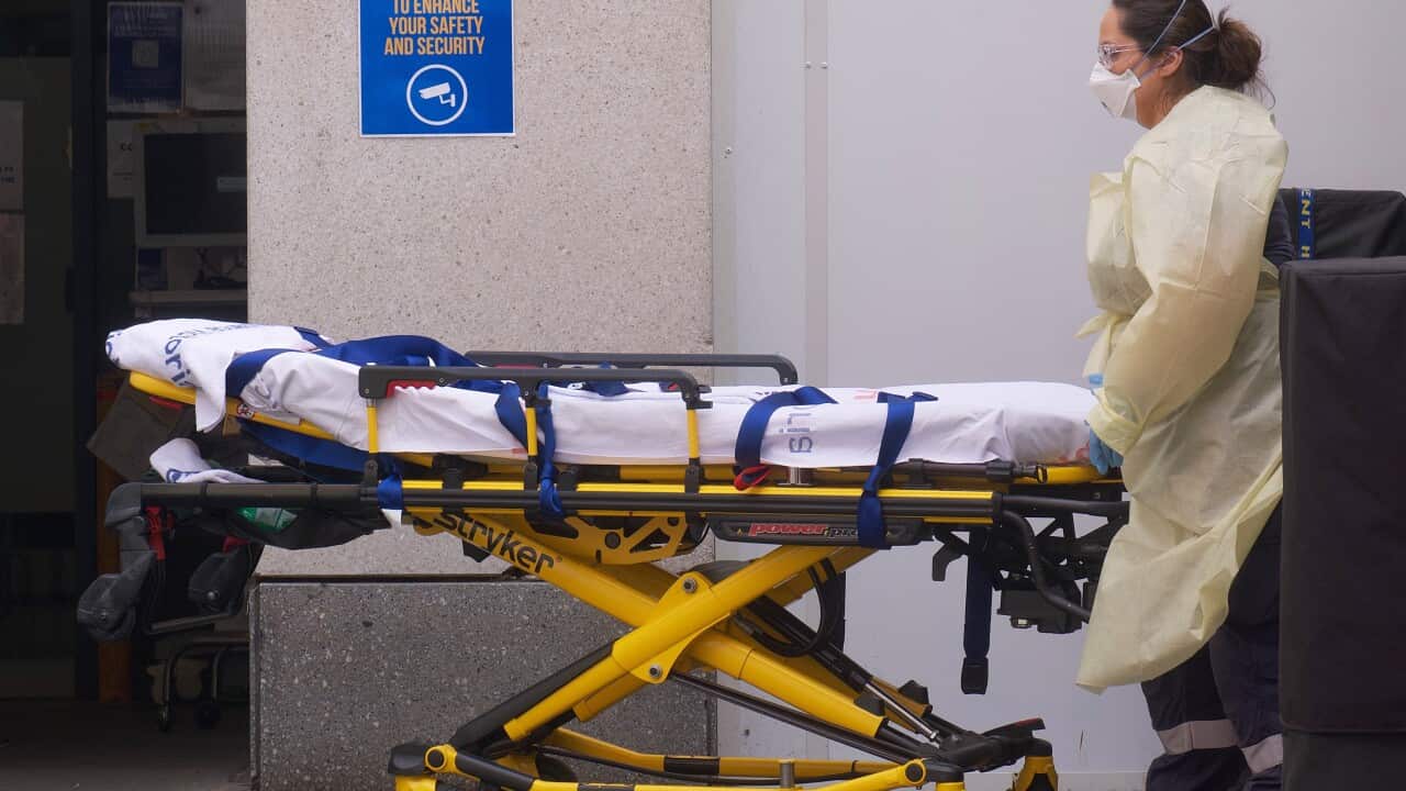 49 people have died from COVID-19 across Australia in the past 24 hours