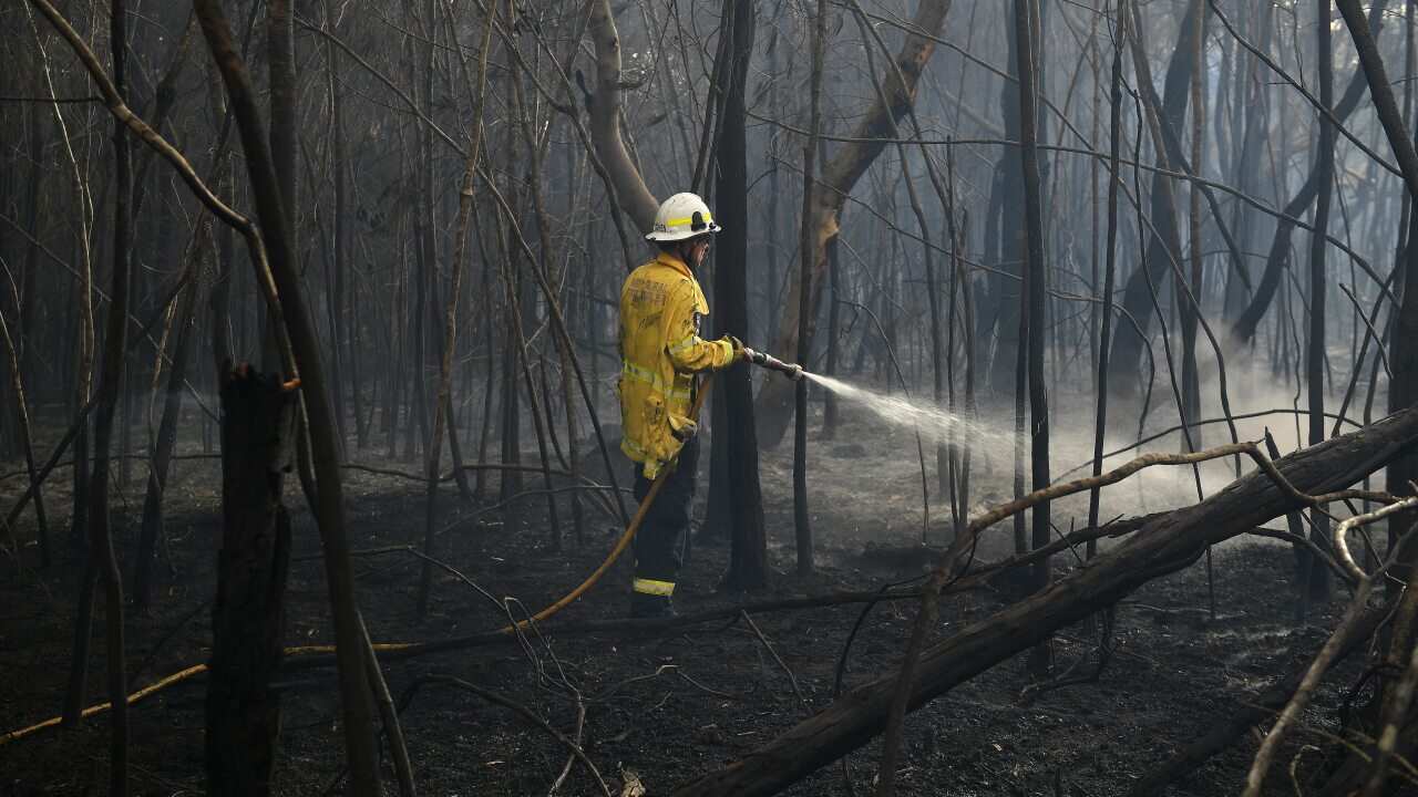 NSW Rural Fire Service crews mop up after a fire came close to homes at South Turramurra.