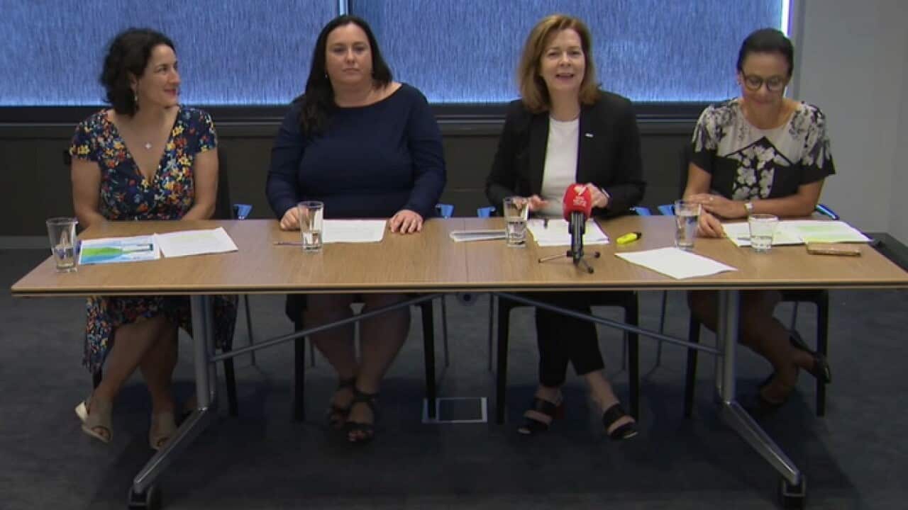 Jobswatch Principal Lawyer Gabrielle Marchetti, Maurice Blackburn Principal Lawyer Alex Grayson, ACTU President Michele O'Neil and Women's Health Victoria Executive Director Rita Butera (SBS)