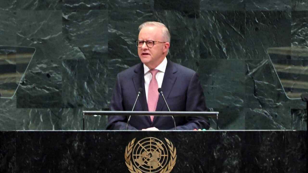 ANTHONY ALBANESE UNITED STATES VISIT