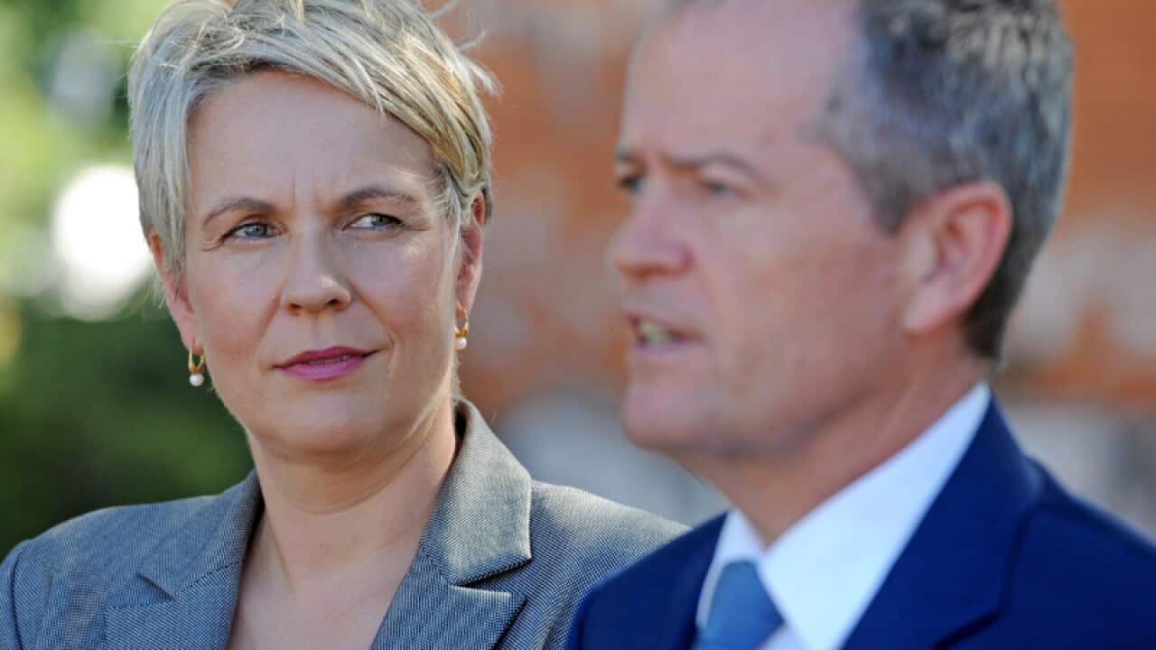 Tanya Plibersek (L) and Bill Shorten