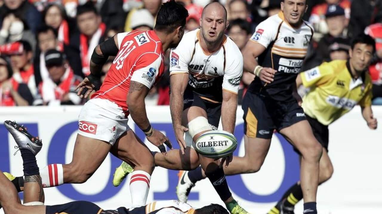 FRile image of the Brumbies' Lachlan McCaffrey in action.