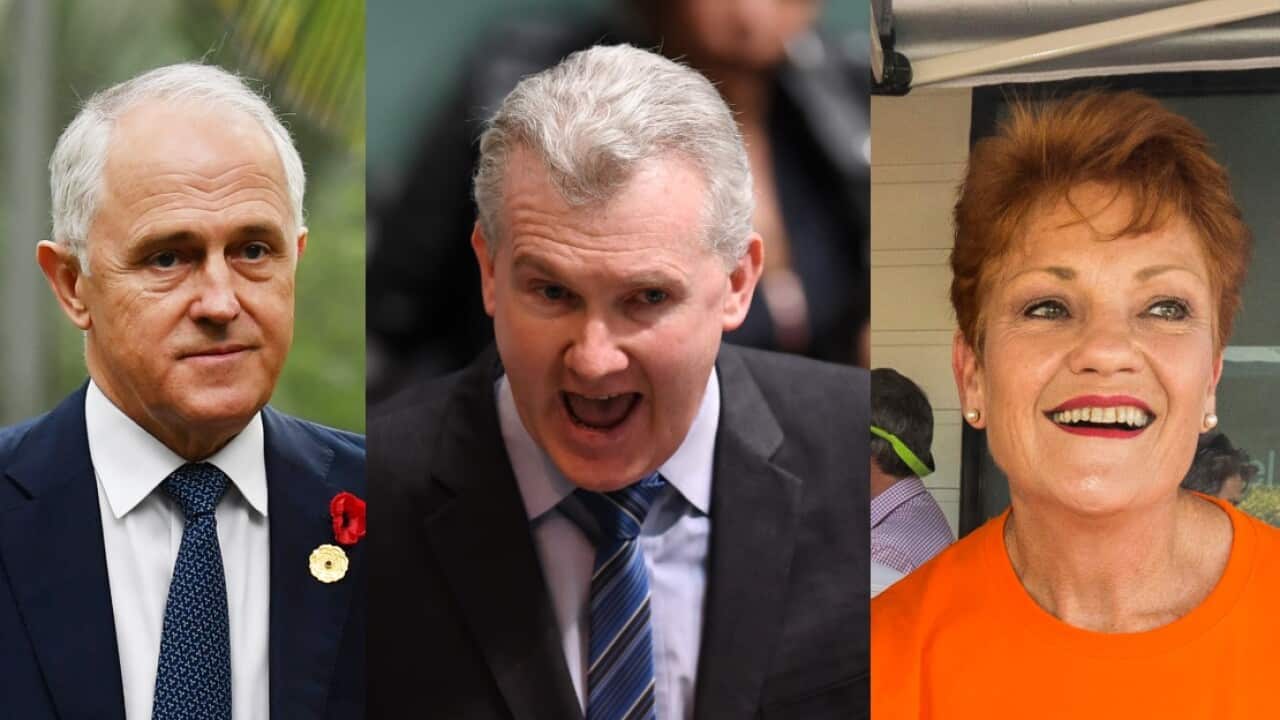 Combo image: PM Malcolm Turnbull, Labor MP Tony Burke and One Nation leader Pauline Hanson 