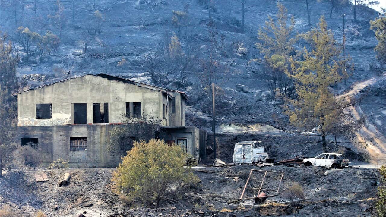 Image for read more article 'ΔΙΑΒΑΣΤΕ/ΑΚΟΥΣΤΕ ΠΕΡΙΣΣΟΤΕΡΑ'