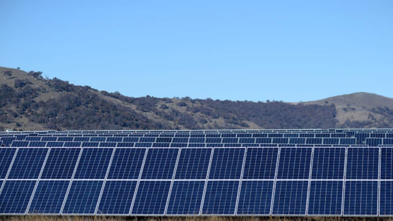 A view of the Royalla Solar Farm near Canberra