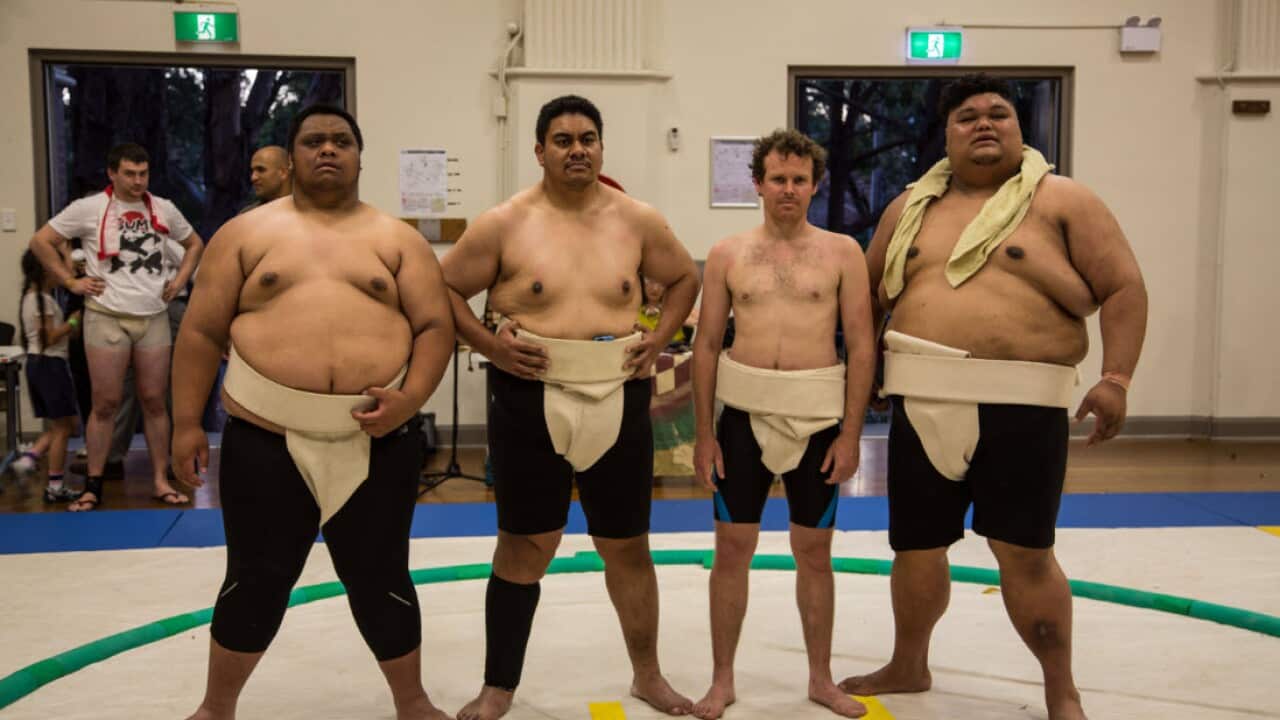 Comment: How a 75kg white guy became a sumo | SBS The Feed