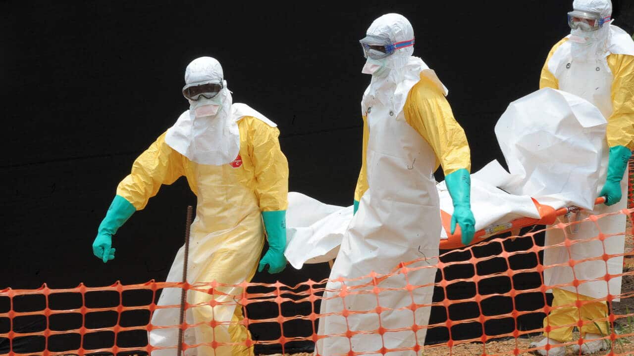 14042_aap_guinea_ebola.jpg