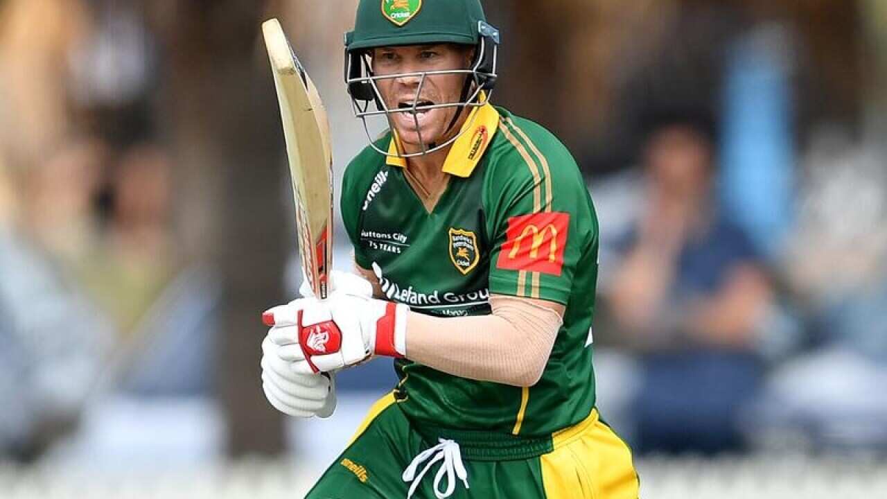 David Warner