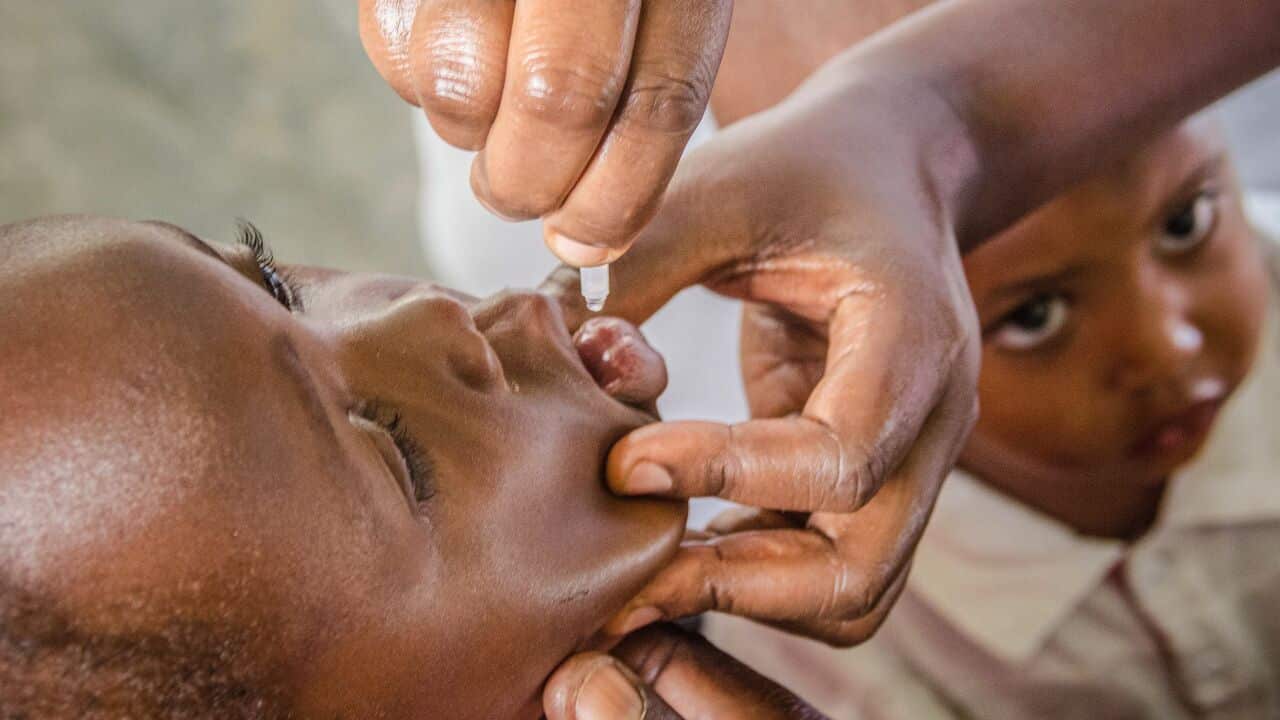 A health worker administers an oral polio vaccine treatment to a young child.
