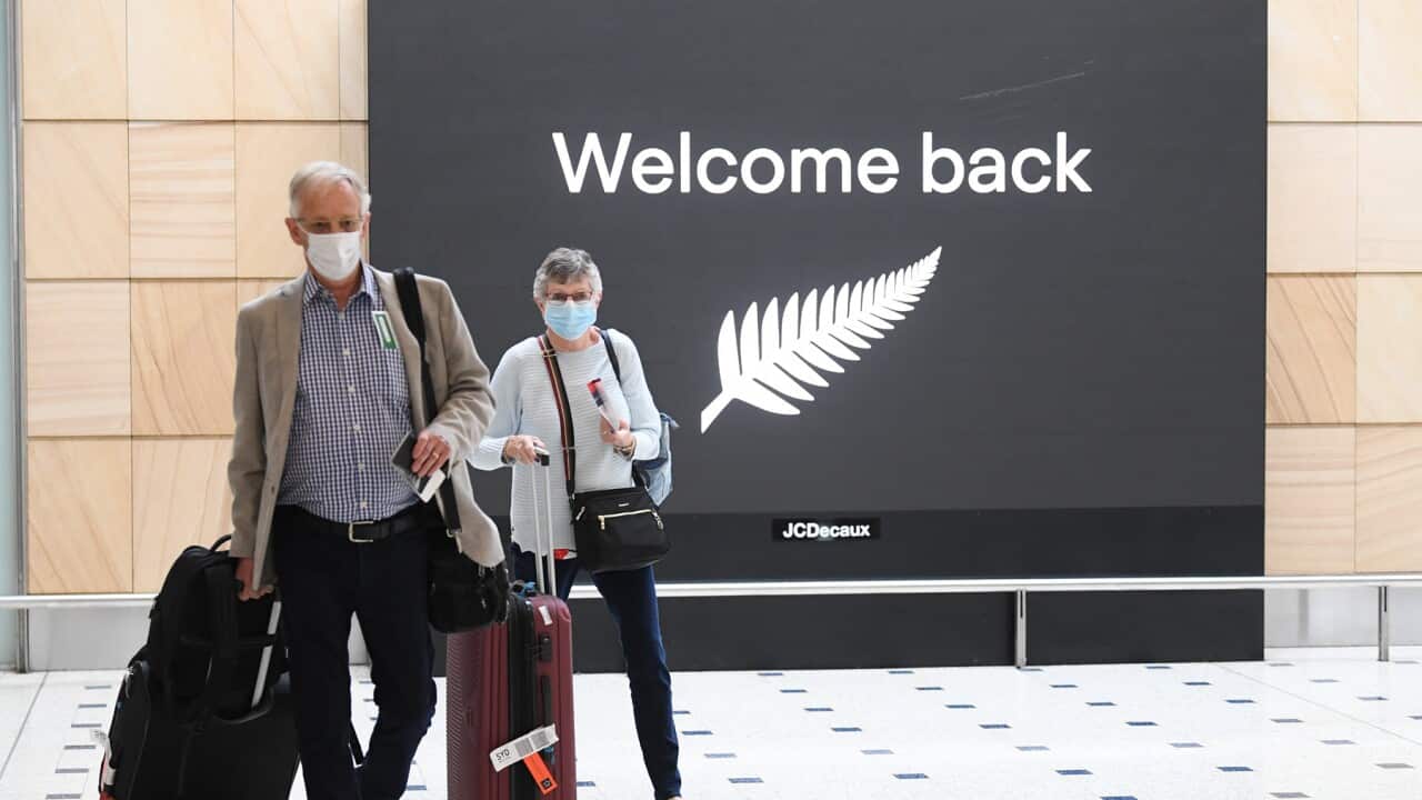 New Zealanders have flown into Sydney airport