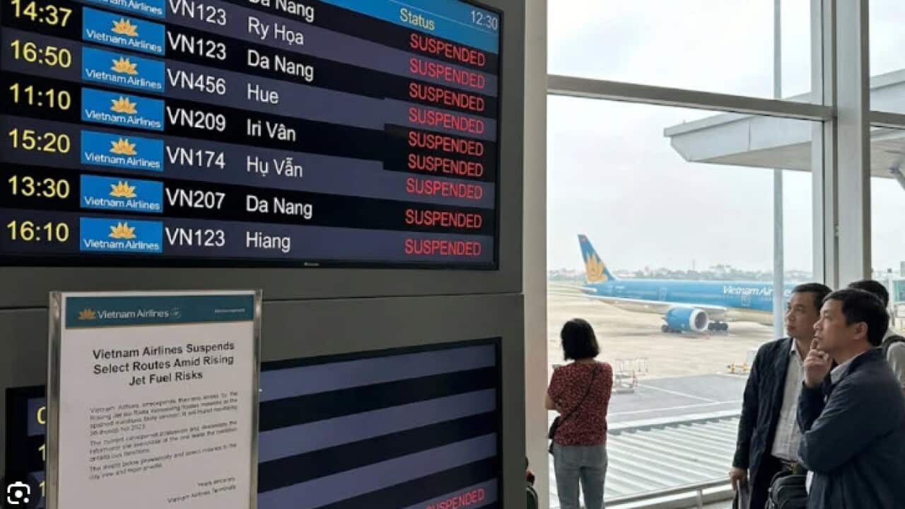 suspended flights.jpg