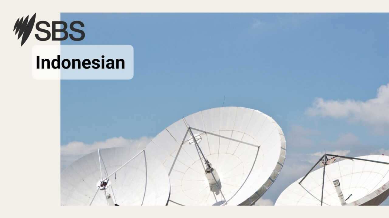 SBS Indonesian Newsflash